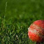 Cricket Runacres Willows SML
